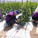 무진축산 이미지