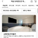 브라운도트 역삼 이미지