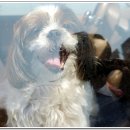 그리향 펜션 이미지