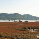 종로-종로-종로-종-364 이미지