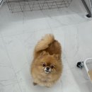 횸스튜디오