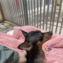 4/11 봉사후기(1) 입니당.