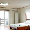 뜨레피아 이미지