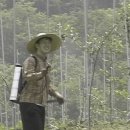 소이농원