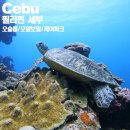세부(제이파크리조트) 모알보알, 오슬롭고래상어 투말록폭포