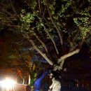 은파호수공원 이미지