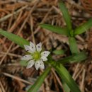 엄광산임도 이미지