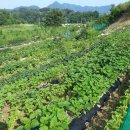 무성농장 이미지