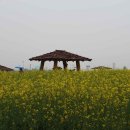 서운체육공원 이미지