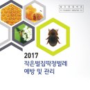 작은 딱정벌레 예방 및 관리 소책자 전구 시.도지회로 발송 이미지