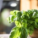 제트 스퀘어(주) 이미지