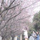 서울과학기술대학교앞 | 서울과학기술대학교 기숙사 vs 서울여자대학교 기숙사 비교 분석과 새로운 대안