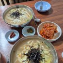 돗꽈비