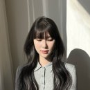 디자인지호