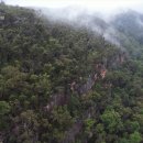 숲이그린집 이미지