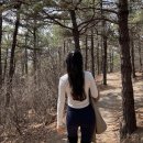 매송체육공원 이미지