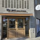 마이 펫 살롱 이미지