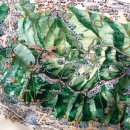 백양주유소 이미지