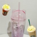 블라썸캣 이미지