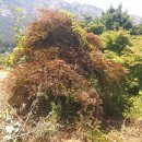 회현농업 이미지