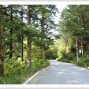 수도산쉼터 이미지