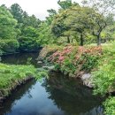 사려니 팬션 이미지