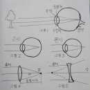 근시를 예방하고 치료하는 방법 ( 내용이 매우 깁니다 ) 이미지