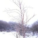 기명목장 이미지