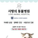 솔샘동물병원 이미지