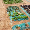 말밭농장 이미지