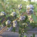 장재농장 이미지