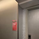 하이앤호텔 | [신혼여행 6]라스베가스&amp;칸쿤 / 플라밍고호텔,카지노 (당첨됨), 하이롤러, 인앤아웃버거, 스피어