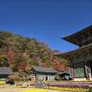 속리산 법주사 이미지