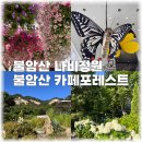 원광초등학교 | 불암산 나비정원 온실 나팔꽃 불암산 카페포레스트 주차 방문후기