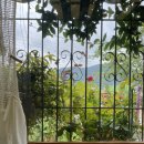 세렌의정원 이미지