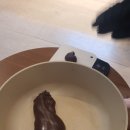 인팁 | 🍪두쫀쿠 이틀동안 900개 만들고온 당근 알바 후기
