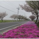 염산초등학교 이미지