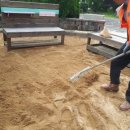 신녕초등학교병설유치원 이미지