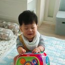 성꼬미 이미지