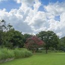 구름어린이공원 이미지