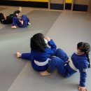 용인대 특전 합기도 이미지