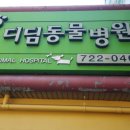 디딤동물병원 이미지