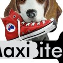 맥시바이트 이미지