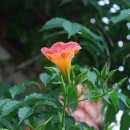 바닷가횟집 이미지