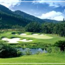 파인스크린골프 이미지