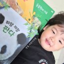 영통 어린이서점 비교 후기 광교 조이북스어린이서점 유아전집 책육아