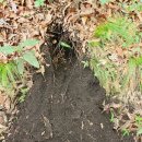 오소리약수터 이미지