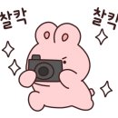 청운양꼬치&마라탕