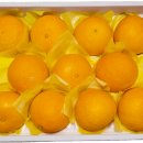 태현농장 이미지