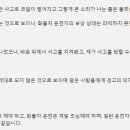 한문철tv) 무게 24.6톤 철판 코일이 고속도로에 이미지